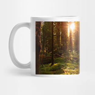 Golden light in the forest Mug